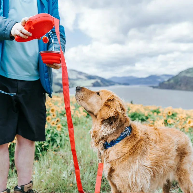 StrideSupreme | Zorg goed voor je hond door altijd water bij te hebben