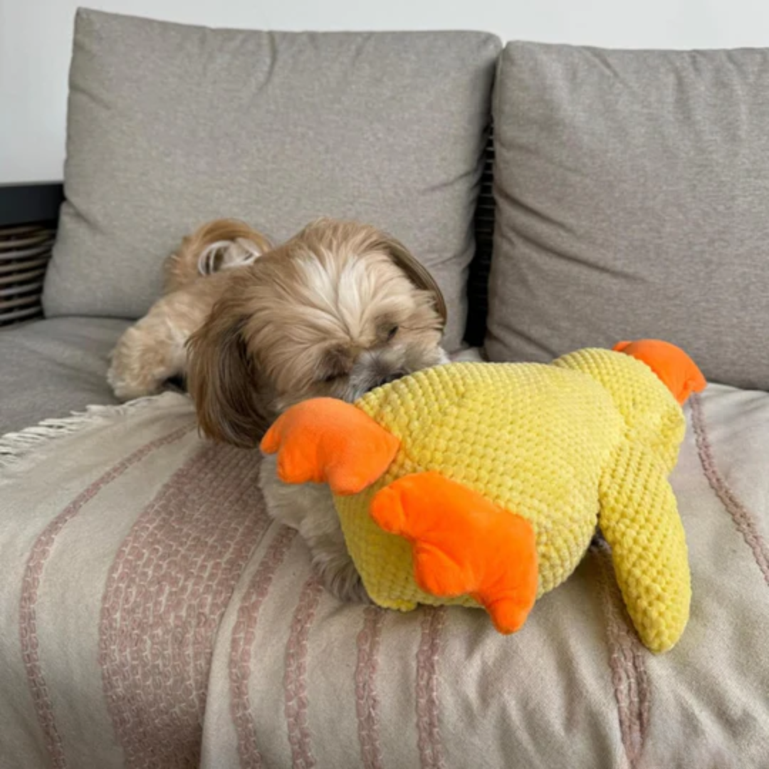 CalmQuack | Trakteer je hond op rust en plezier met eend kalmerend speelgoed