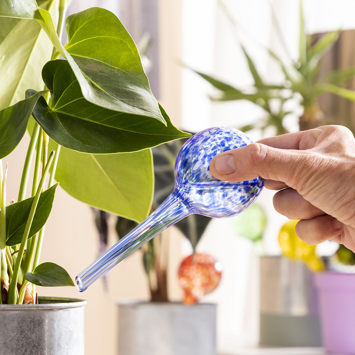 Automatische Waterbolletjes | Zelfwaterende glazen bollen voor plantenverzorging