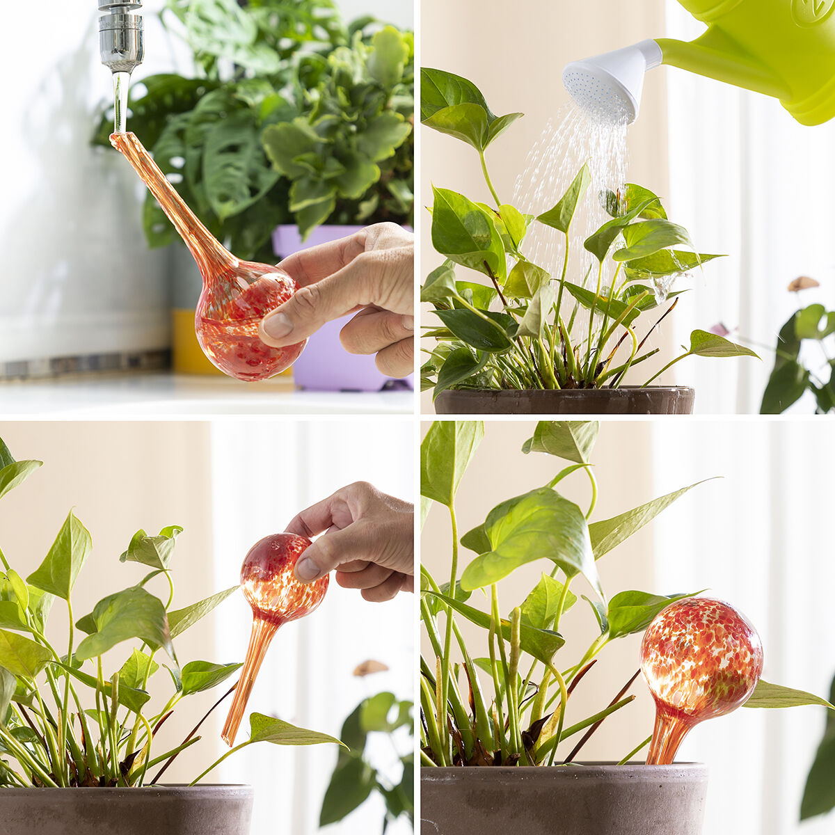 Automatische Waterbolletjes | Zelfwaterende glazen bollen voor plantenverzorging