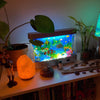 AquaDream | Retro Aquarium Lamp brengt je terug naar je jeugd